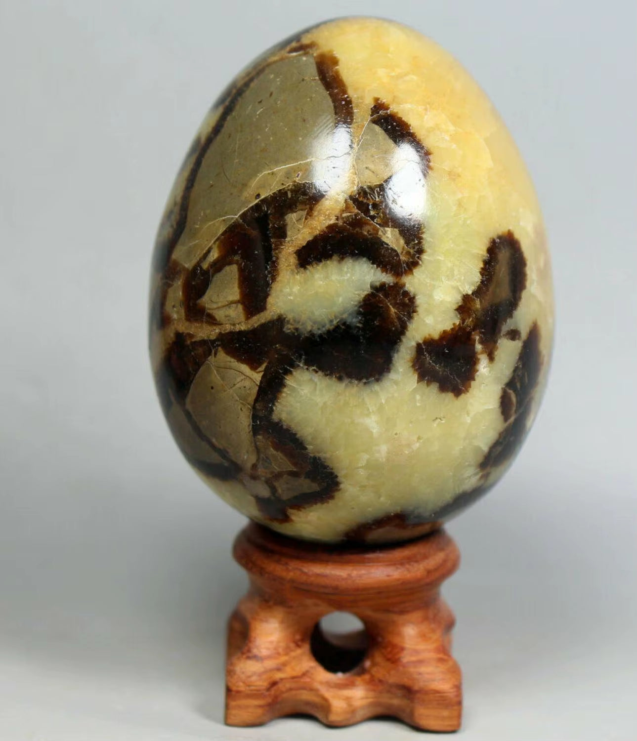 NATURAL Septarian Dragon Calcite Crystal Egg Sphere Mineral Specimen