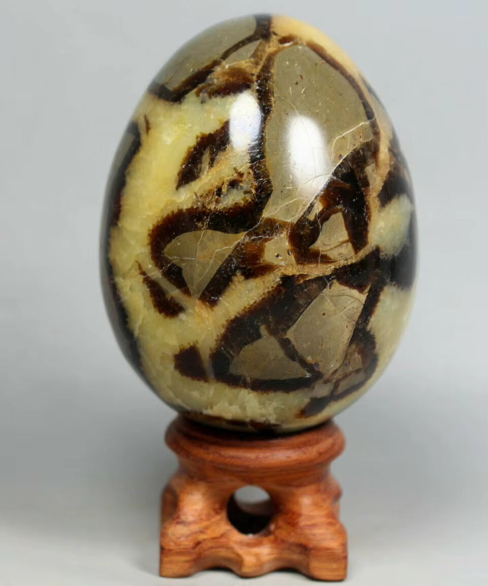 NATURAL Septarian Dragon Calcite Crystal Egg Sphere Mineral Specimen