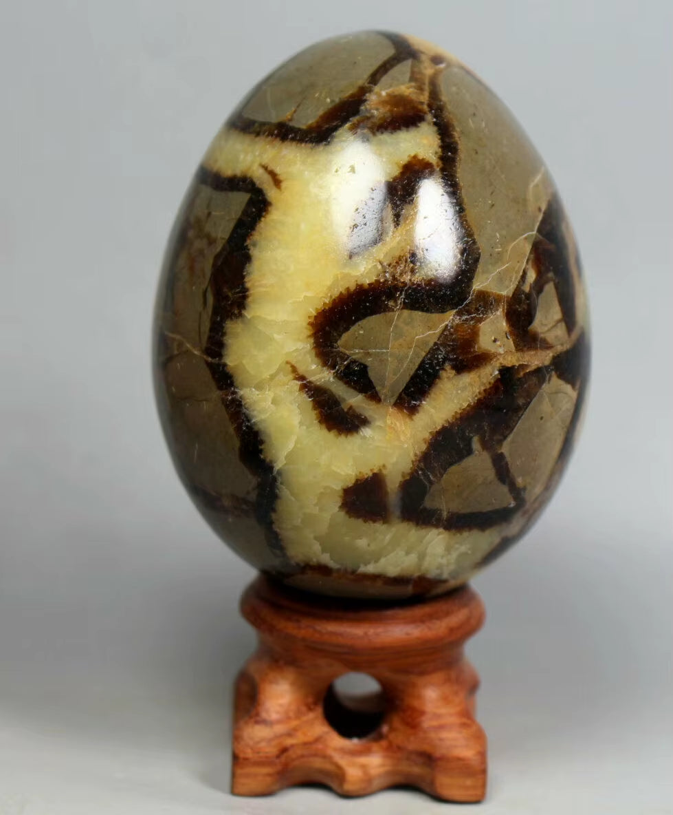 NATURAL Septarian Dragon Calcite Crystal Egg Sphere Mineral Specimen