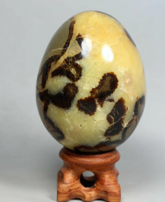 NATURAL Septarian Dragon Calcite Crystal Egg Sphere Mineral Specimen