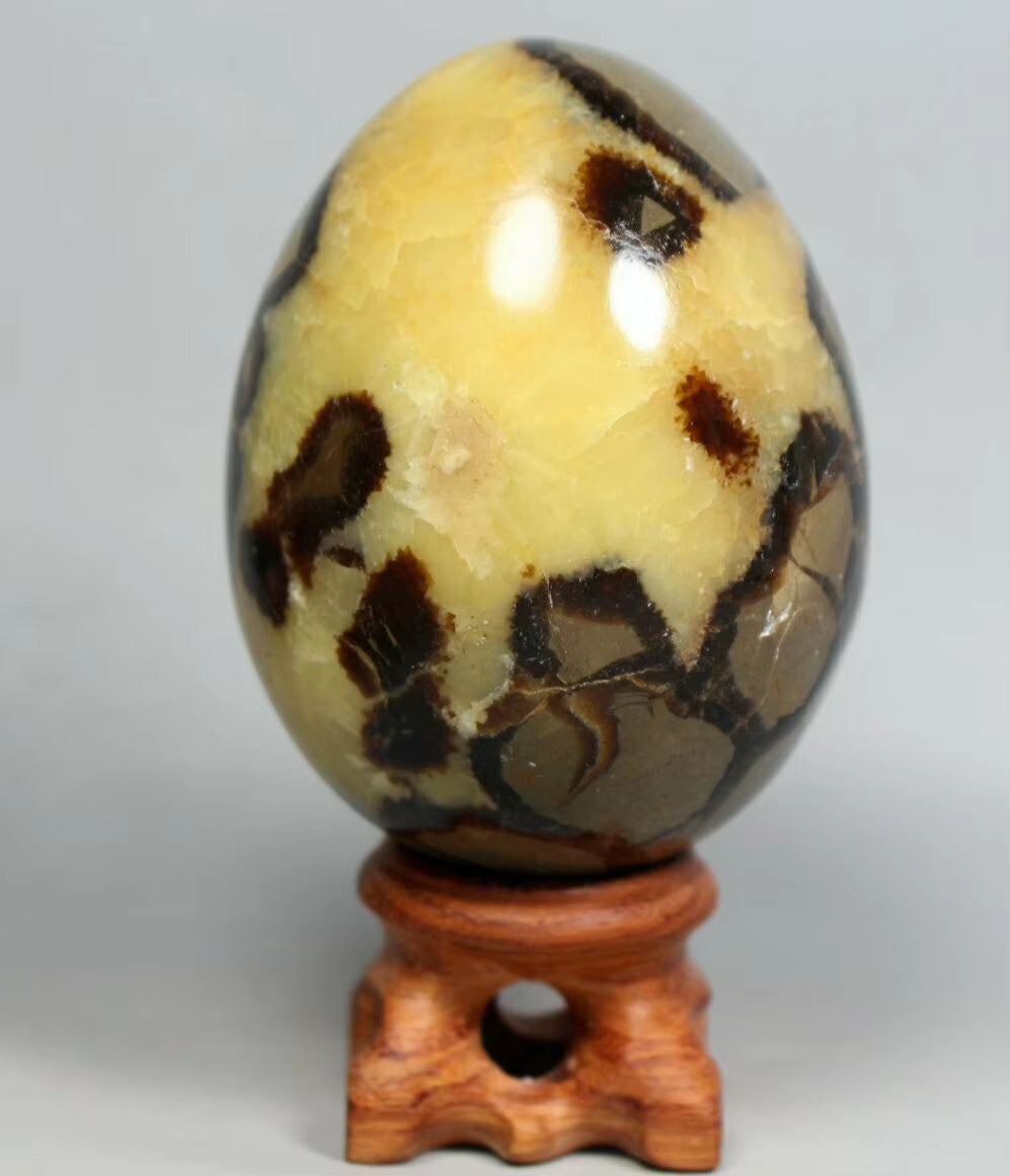 NATURAL Septarian Dragon Calcite Crystal Egg Sphere Mineral Specimen